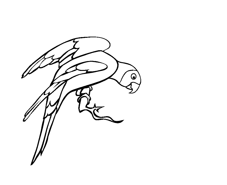 parrot-coloring-page-0108-q1