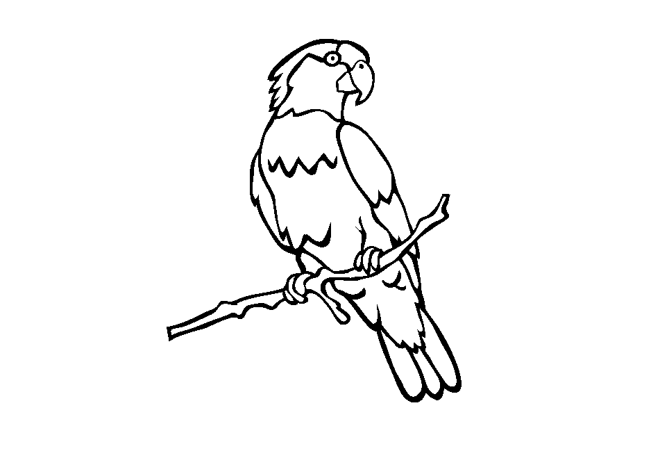 parrot-coloring-page-0109-q1