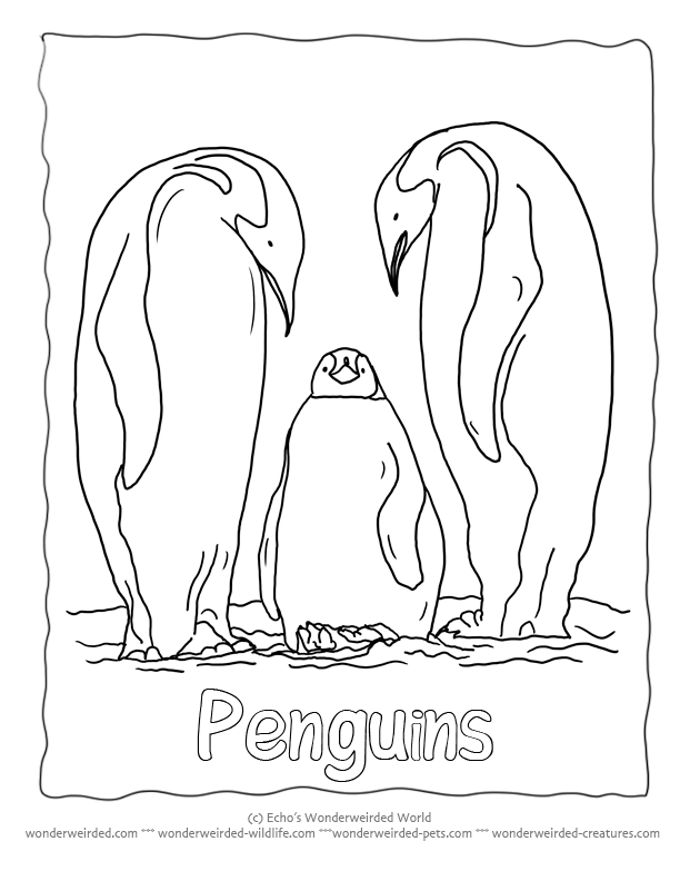 penguin-coloring-page-0022-q1