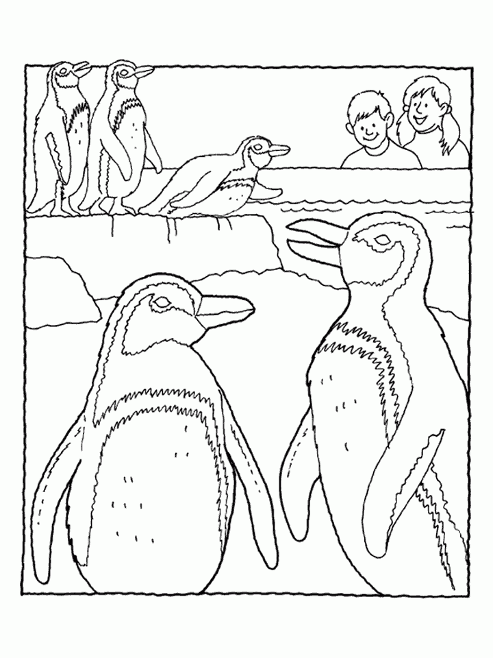 penguin-coloring-page-0038-q1