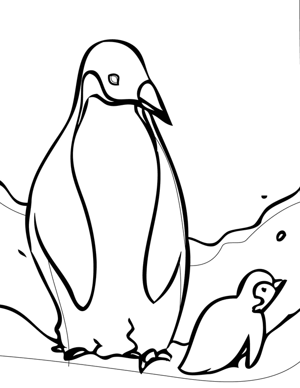 penguin-coloring-page-0050-q1