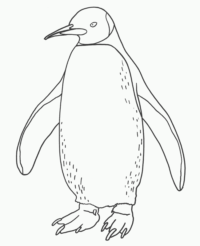 penguin-coloring-page-0053-q1