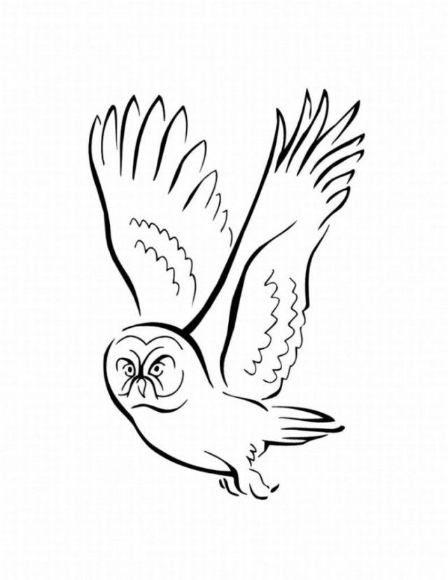 pigeon-dove-coloring-page-0020-q1