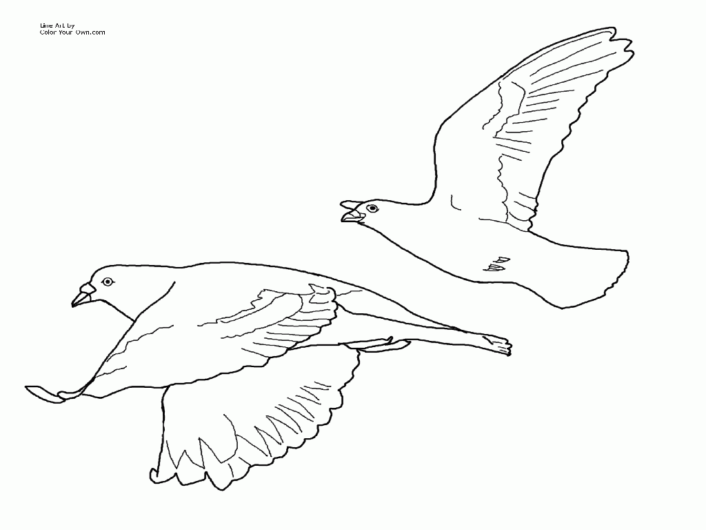 pigeon-dove-coloring-page-0068-q1