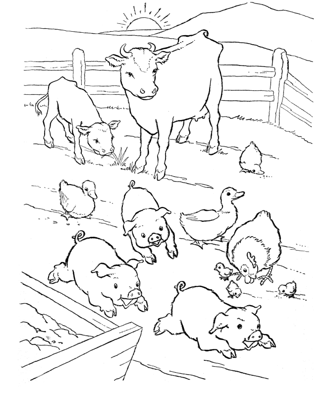 pig-coloring-page-0038-q1