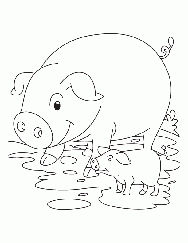 pig-coloring-page-0045-q1