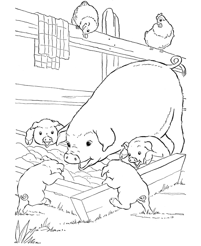 pig-coloring-page-0046-q1