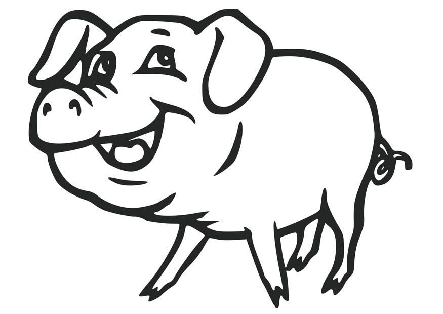 pig-coloring-page-0056-q1