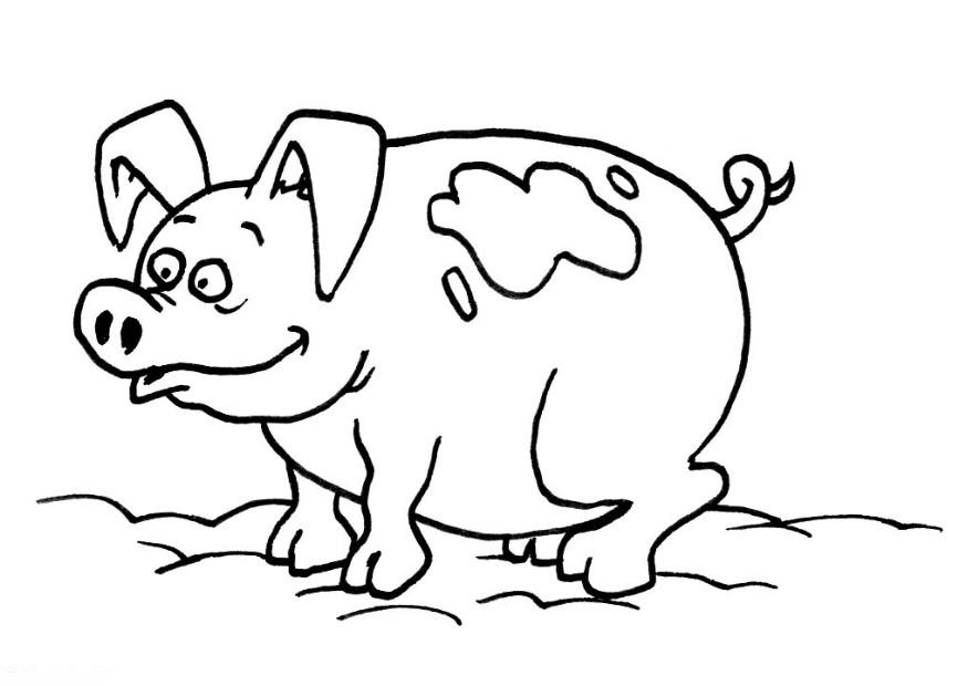 pig-coloring-page-0057-q1