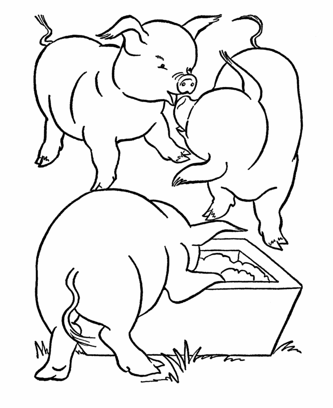 pig-coloring-page-0061-q1