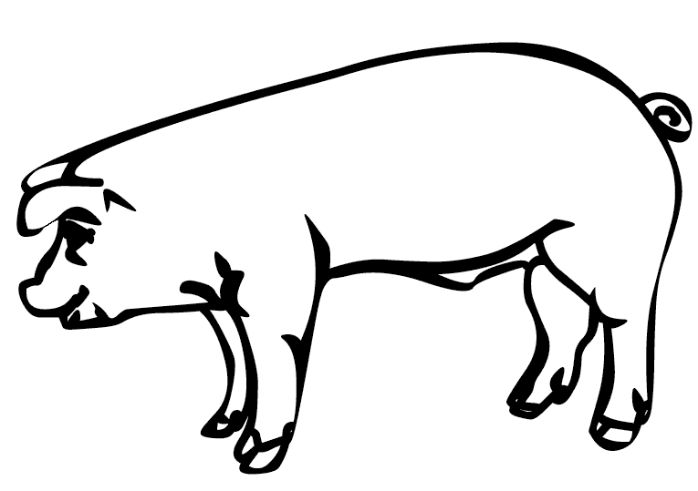 pig-coloring-page-0079-q3