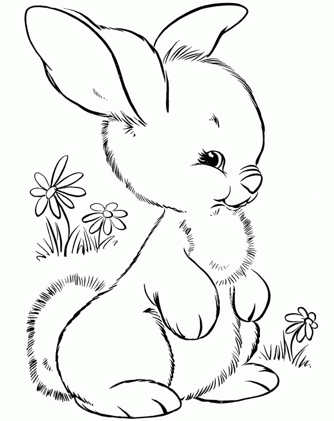 rabbit-coloring-page-0031-q1