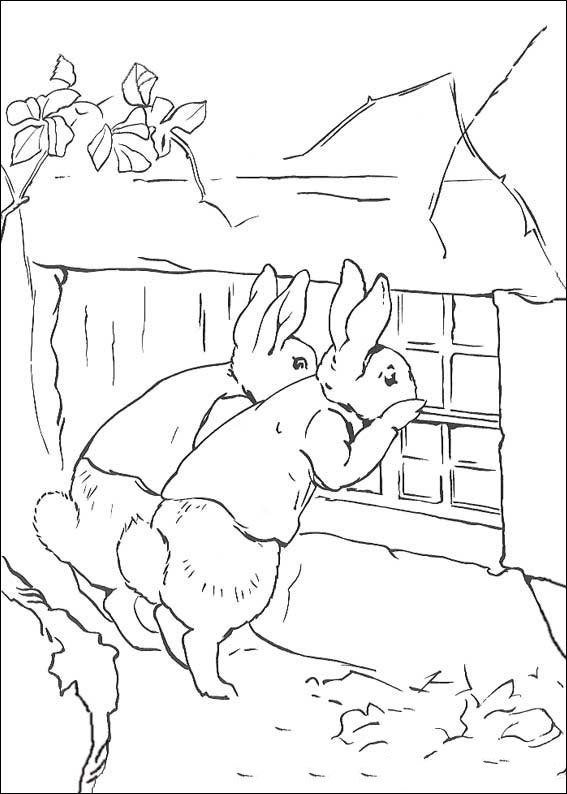 rabbit-coloring-page-0042-q5