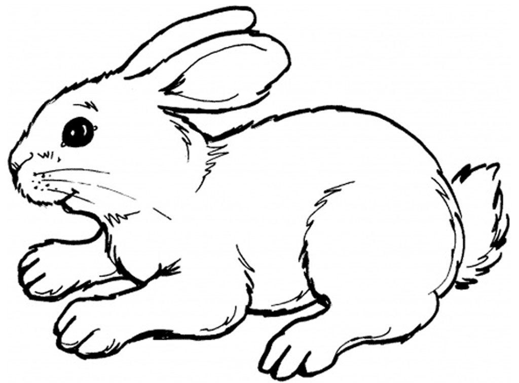 rabbit-coloring-page-0045-q1