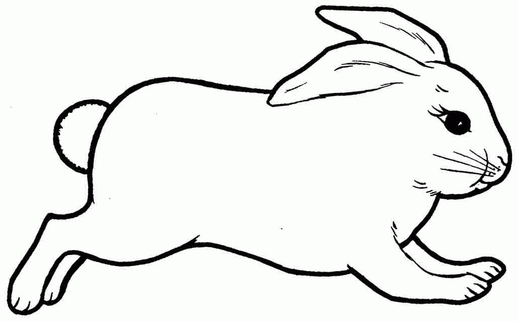 rabbit-coloring-page-0054-q1