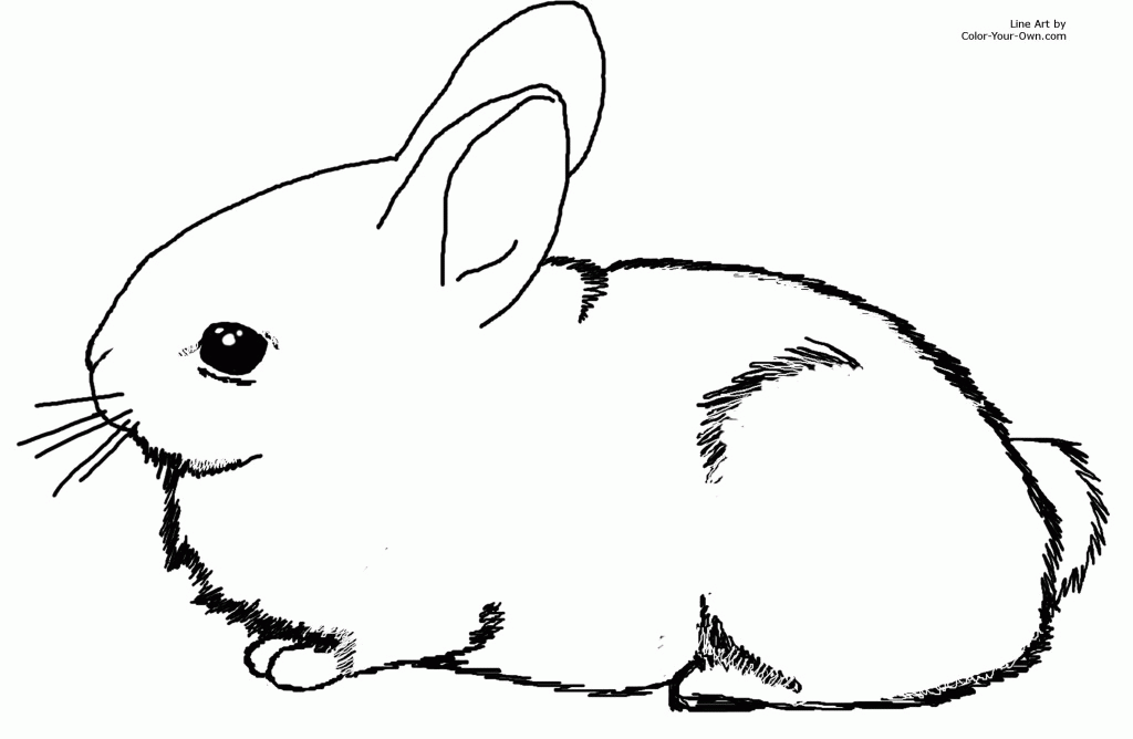 rabbit-coloring-page-0064-q1