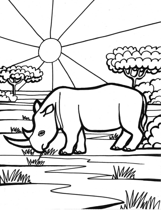 rhino-coloring-page-0006-q1