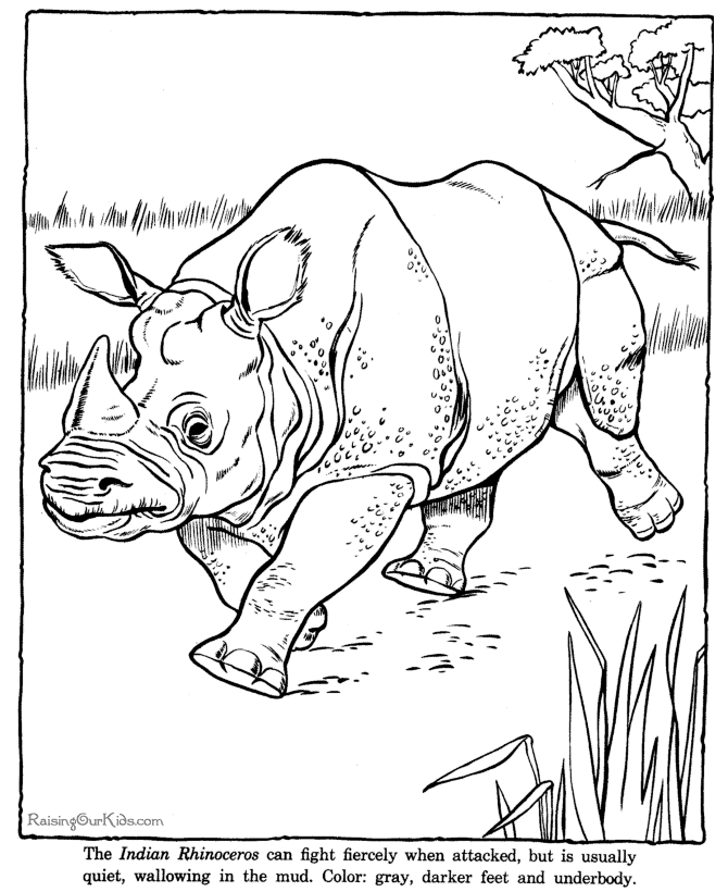 rhino-coloring-page-0014-q1