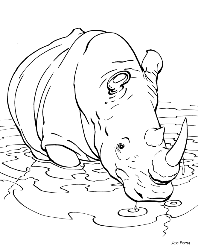 rhino-coloring-page-0022-q1