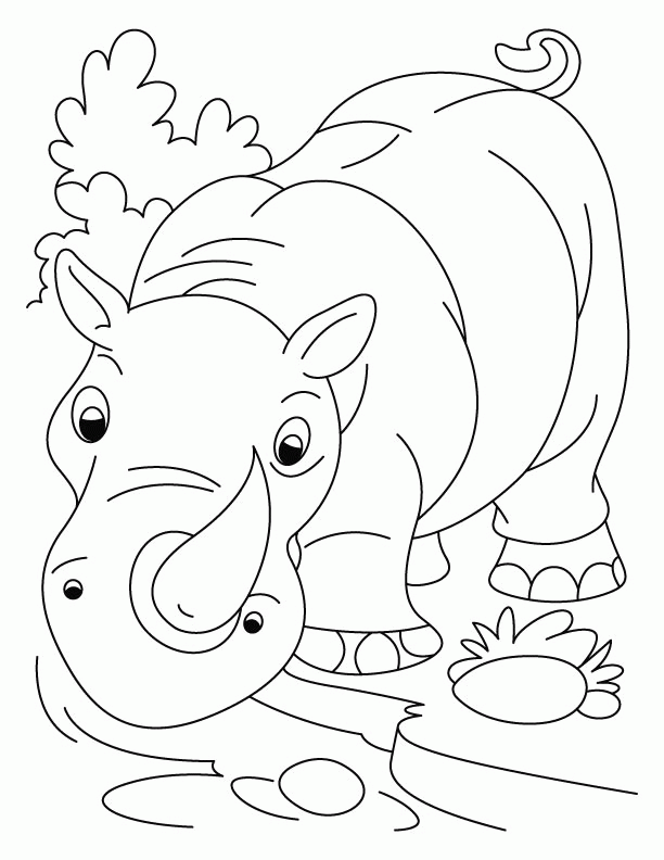 rhino-coloring-page-0024-q1