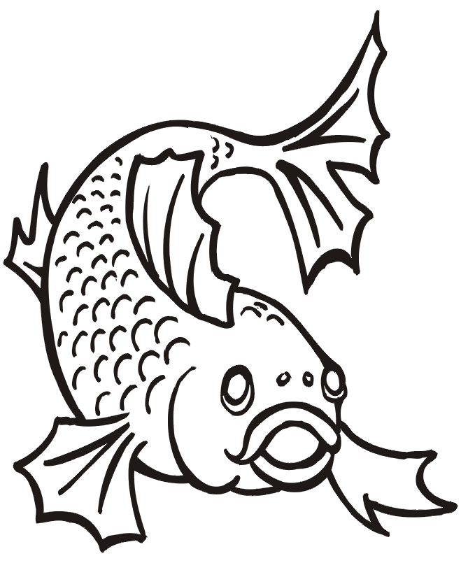sea-animal-coloring-page-0085-q1