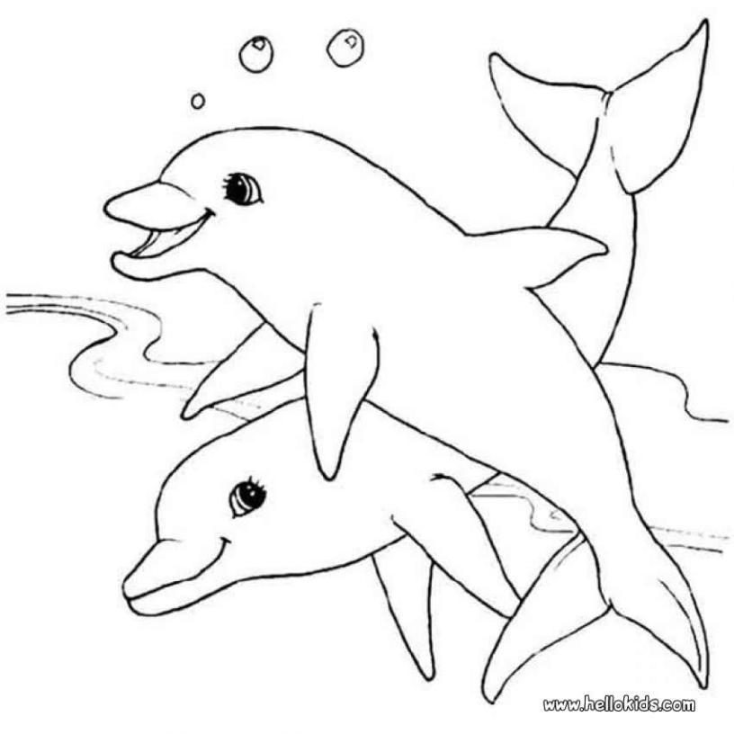 sea-animal-coloring-page-0086-q1