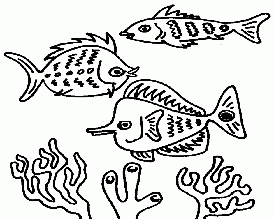 sea-animal-coloring-page-0155-q1