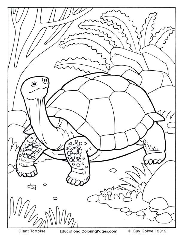 sea-animal-coloring-page-0199-q1
