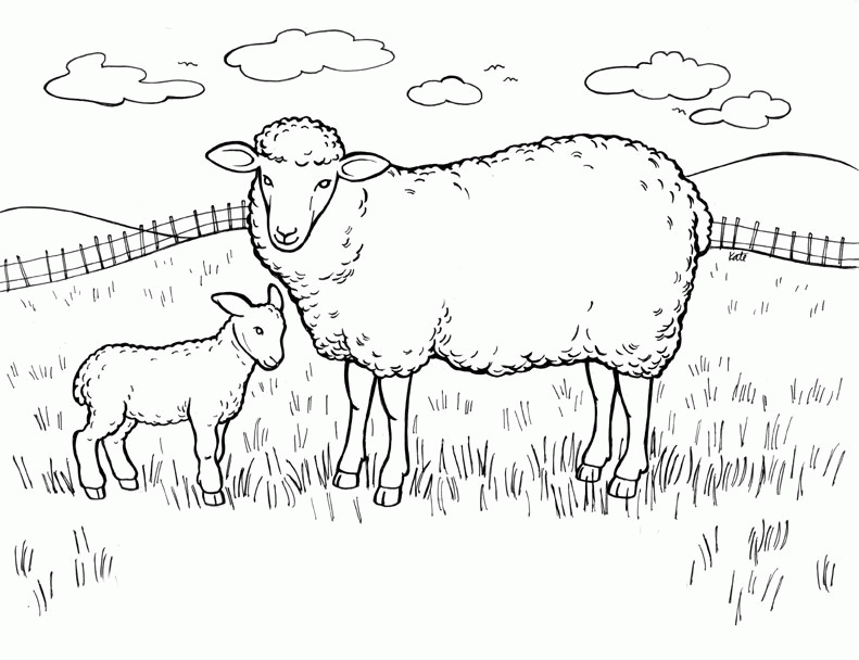 sheep-coloring-page-0013-q1