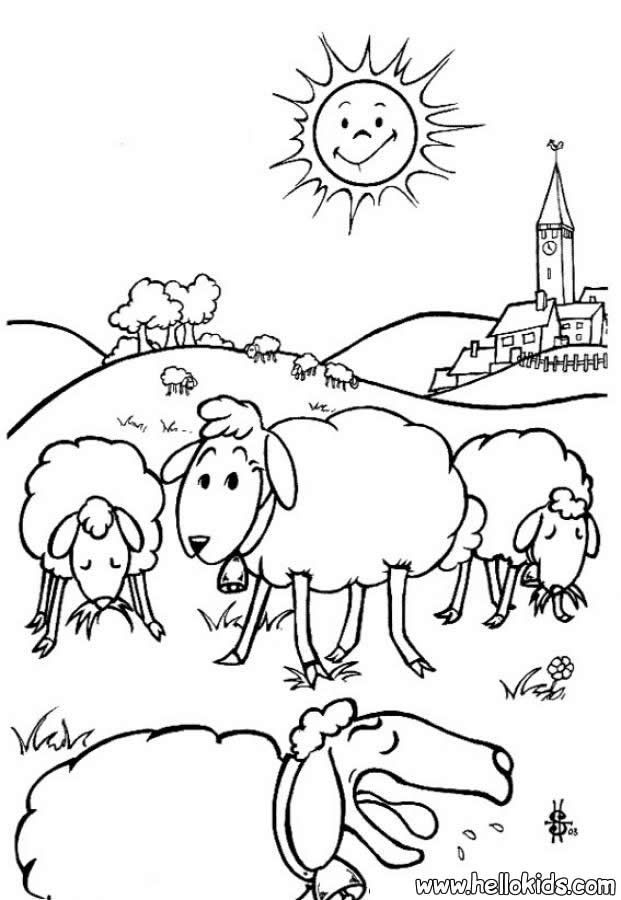 sheep-coloring-page-0025-q1