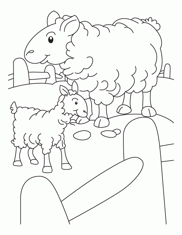 sheep-coloring-page-0028-q1