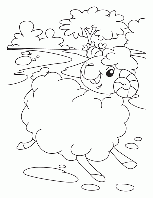 sheep-coloring-page-0029-q1