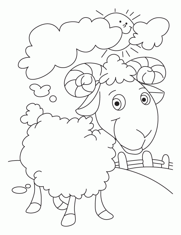 sheep-coloring-page-0032-q1