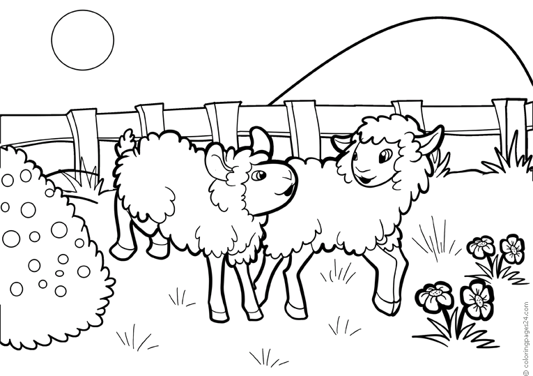 sheep-coloring-page-0037-q3
