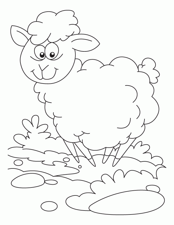 sheep-coloring-page-0039-q1