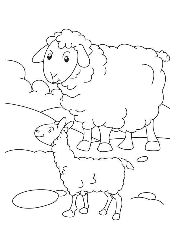 sheep-coloring-page-0064-q2