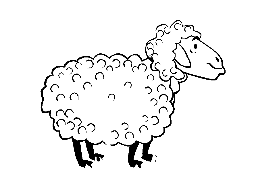 sheep-coloring-page-0103-q1