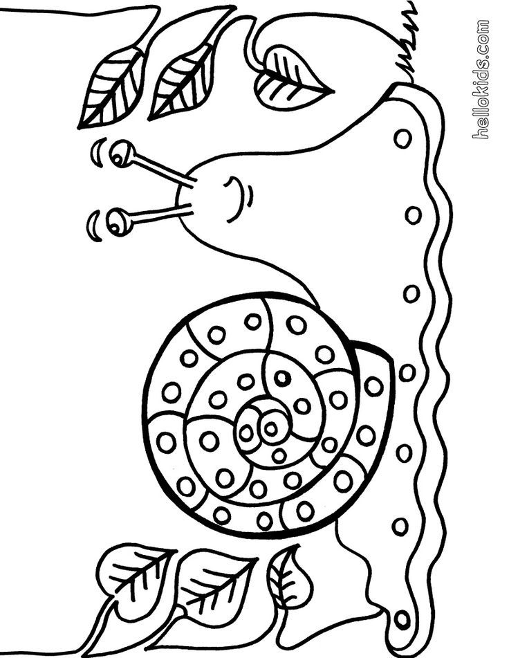 snail-coloring-page-0006-q1