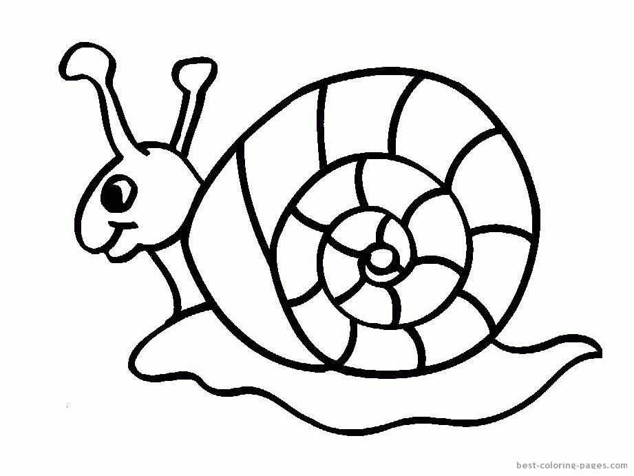 snail-coloring-page-0022-q1