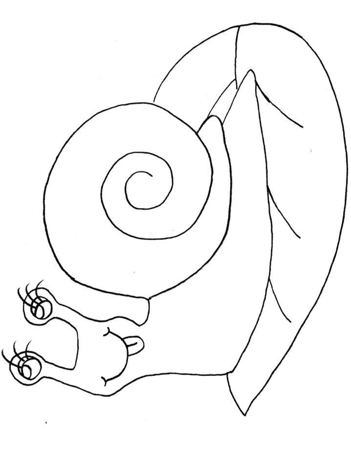snail-coloring-page-0024-q1