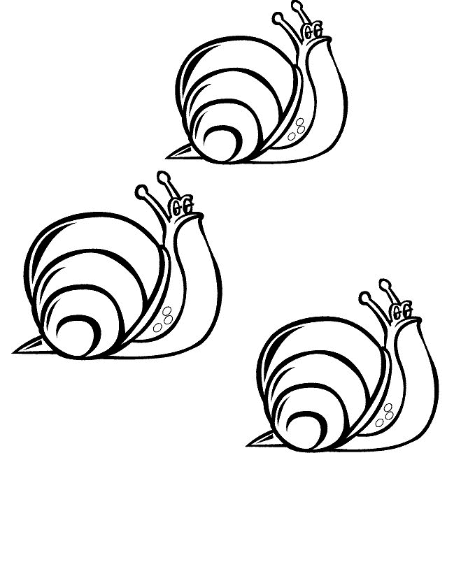 snail-coloring-page-0032-q1
