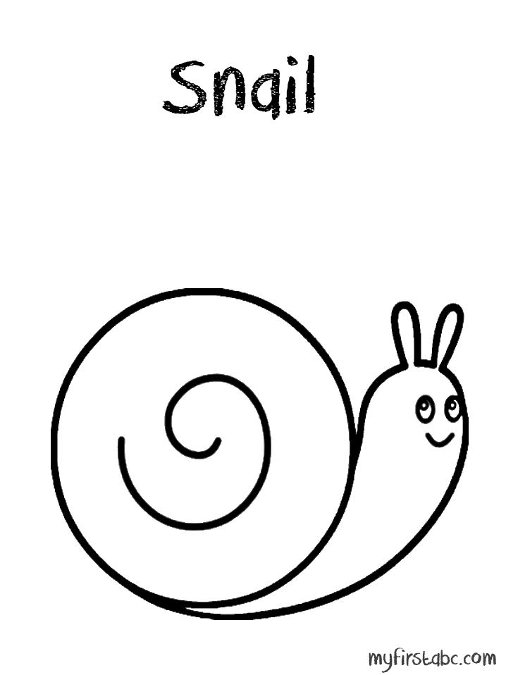 snail-coloring-page-0033-q1