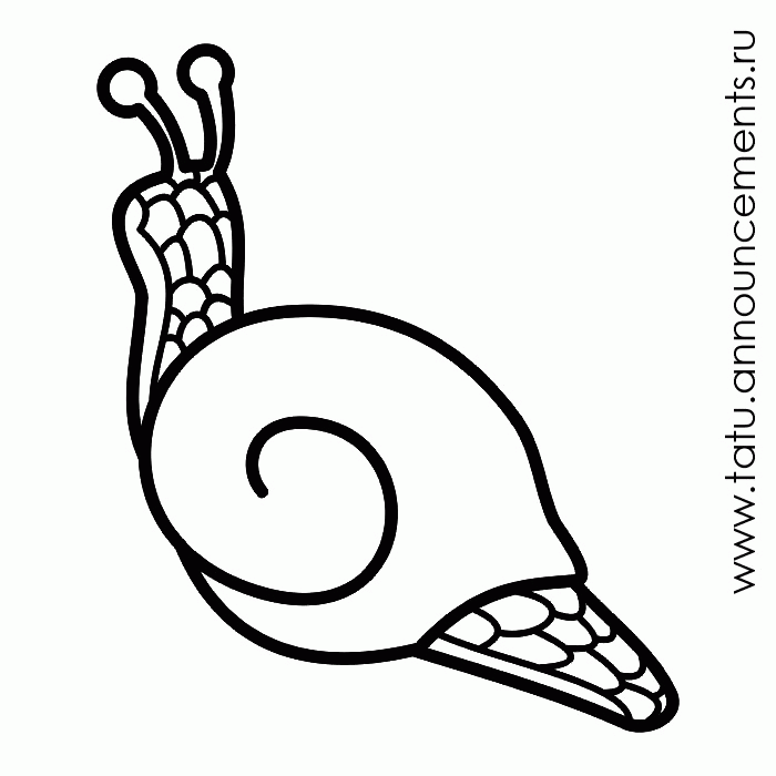 snail-coloring-page-0036-q1