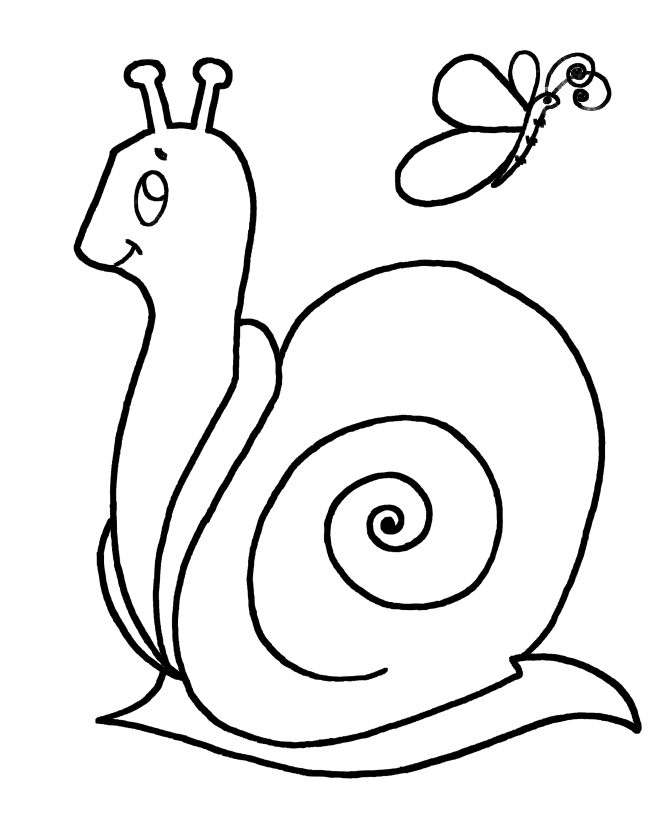 snail-coloring-page-0041-q1