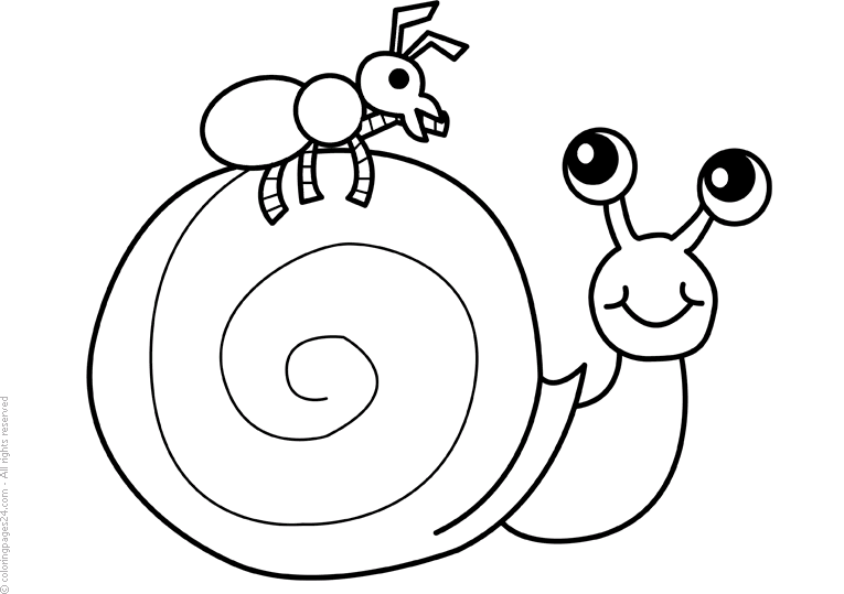 snail-coloring-page-0042-q3