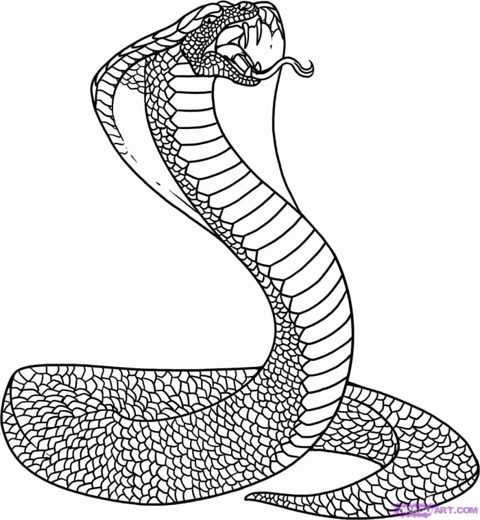 snake-coloring-page-0001-q1