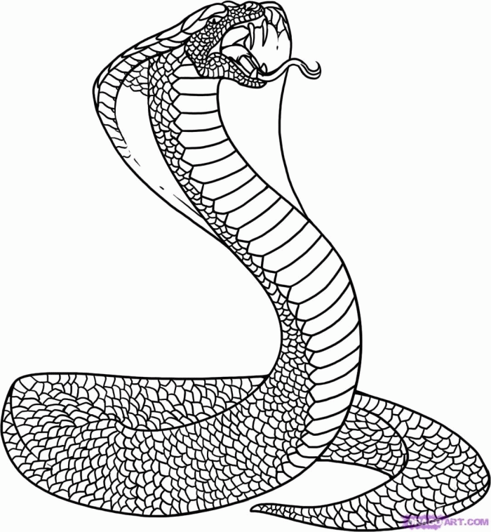 King Cobra Coloring Page, Free King Cobra Online Coloring