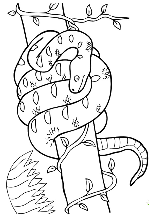snake-coloring-page-0005-q2
