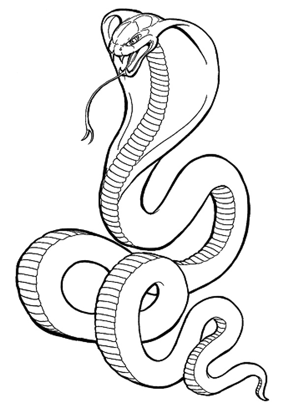 snake-coloring-page-0008-q2