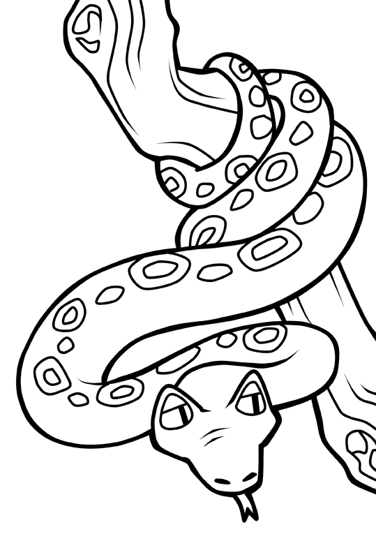 snake-coloring-page-0038-q3